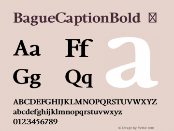 BagueCaptionBold ☞ Version 2.001;com.myfonts.eurotypo.bague.caption-bold.wfkit2.4f2L Font Sample