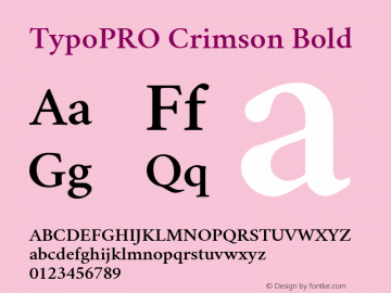 TypoPRO Crimson Bold Version 0.8图片样张