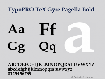 TypoPRO TeX Gyre Pagella Bold Version 2.004;PS 2.004;hotconv 1.0.49;makeotf.lib2.0.14853 Font Sample