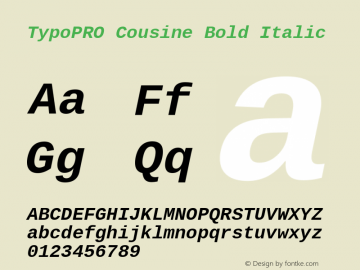 TypoPRO Cousine Bold Italic Version 1.21图片样张