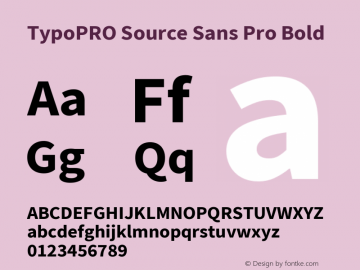 TypoPRO Source Sans Pro Bold Version 2.010;PS Version 2.0;hotconv 1.0.78;makeotf.lib2.5.61930 Font Sample
