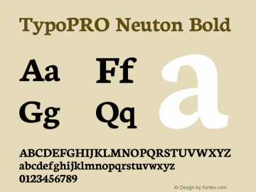 TypoPRO Neuton Bold Version 1.42图片样张
