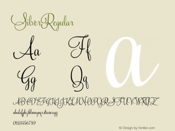 SilverRegular ☞ Version 1.000;com.myfonts.easy.fenotype.silver.regular.wfkit2.version.4hXe Font Sample