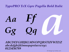 TypoPRO TeX Gyre Pagella Bold Italic Version 2.004;PS 2.004;hotconv 1.0.49;makeotf.lib2.0.14853 Font Sample