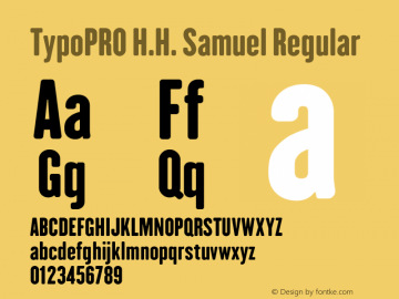 TypoPRO H.H. Samuel Regular Version 1.009 Font Sample