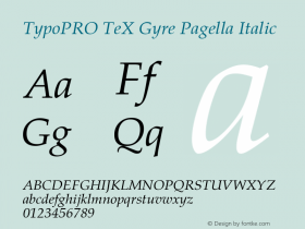 TypoPRO TeX Gyre Pagella Italic Version 2.004;PS 2.004;hotconv 1.0.49;makeotf.lib2.0.14853 Font Sample