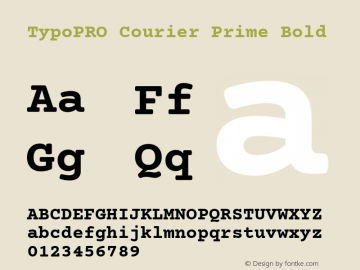 TypoPRO Courier Prime Bold Version 1.202图片样张