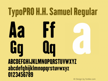 TypoPRO H.H. Samuel Regular Version 1.009 Font Sample