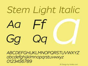 Stem Light Italic Version 1.000图片样张