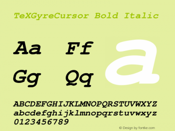 TeXGyreCursor Bold Italic Version 1.103;PS 1.103;hotconv 1.0.49;makeotf.lib2.0.14853 Font Sample
