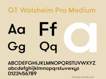 GT Walsheim Pro Medium 001.001 Font Sample