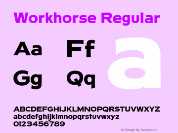 Workhorse Regular Version 1.003;com.myfonts.easy.charlesborges.workhorse.regular.wfkit2.version.4jQT图片样张