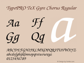 TypoPRO TeX Gyre Chorus Regular Version 2.003;PS 2.003;hotconv 1.0.49;makeotf.lib2.0.14853 Font Sample