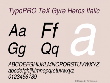 TypoPRO TeX Gyre Heros Italic Version 2.004;PS 2.004;hotconv 1.0.49;makeotf.lib2.0.14853图片样张