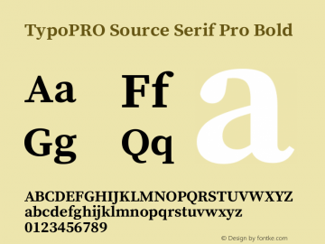 TypoPRO Source Serif Pro Bold Version 1.014;PS 1.0;hotconv 1.0.73;makeotf.lib2.5.5900图片样张