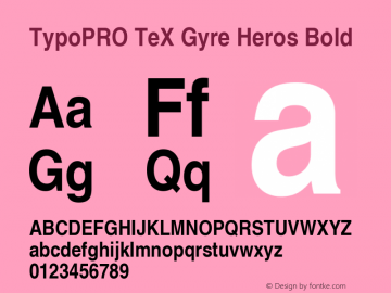 TypoPRO TeX Gyre Heros Bold Version 2.004;PS 2.004;hotconv 1.0.49;makeotf.lib2.0.14853图片样张