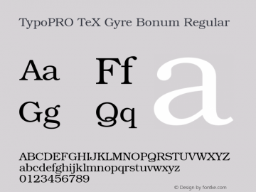 TypoPRO TeX Gyre Bonum Regular Version 2.004;PS 2.004;hotconv 1.0.49;makeotf.lib2.0.14853 Font Sample