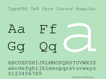 TypoPRO TeX Gyre Cursor Regular Version 2.004;PS 2.004;hotconv 1.0.49;makeotf.lib2.0.14853 Font Sample