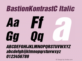 BastionKontrastC Italic Version 001.000图片样张