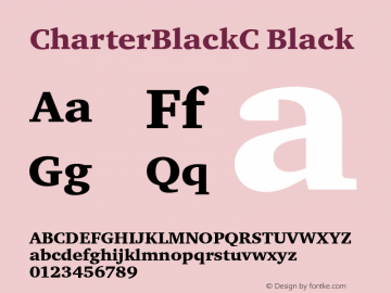CharterBlackC Black Version 001.000图片样张
