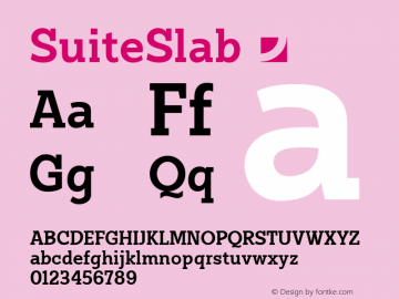 SuiteSlab ☞ Version 1.000;com.myfonts.jonahfonts.suite-slab.regular.wfkit2.3CkN图片样张