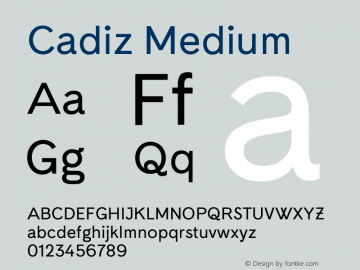 Cadiz Medium 4.000图片样张
