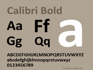 Calibri Bold Version 1.02 Font Sample
