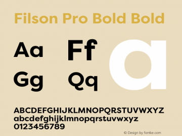 Filson Pro Bold Bold 1.000;com.myfonts.easy.mostardesign.filson-pro.bold.wfkit2.version.4dmq图片样张