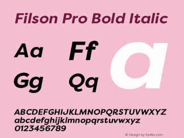 Filson Pro Bold Italic 1.000;com.myfonts.easy.mostardesign.filson-pro.bold-italic.wfkit2.version.4dmr Font Sample