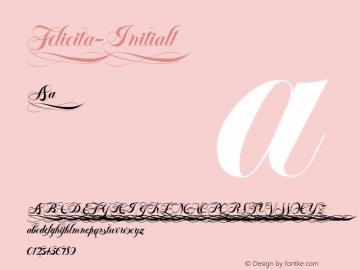 Felicita-Initial1 ☞ 001.000;com.myfonts.wiescherdesign.felicita.initial-1.wfkit2.44YB Font Sample