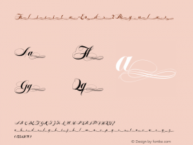 Felicita-Ends2 Regular 001.000;com.myfonts.wiescherdesign.felicita.ends-2.wfkit2.44Yz Font Sample