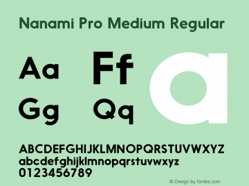 Nanami Pro Medium Regular Version 1.003;PS 001.003;hotconv 1.0.70;makeotf.lib2.5.58329 Font Sample