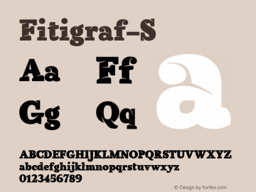 Fitigraf-S ☞ 1.000;com.myfonts.nootype.fitigraf.s.wfkit2.41rF图片样张
