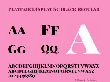 Playfair Display SC Black Regular Version 1.003;PS 001.003;hotconv 1.0.70;makeotf.lib2.5.58329; ttfautohint (v0.95) -l 42 -r 42 -G 200 -x 14 -w 