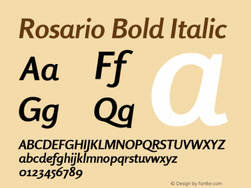 Rosario Bold Italic 001.000 Font Sample