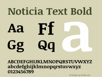 Noticia Text Bold Version 1.003图片样张
