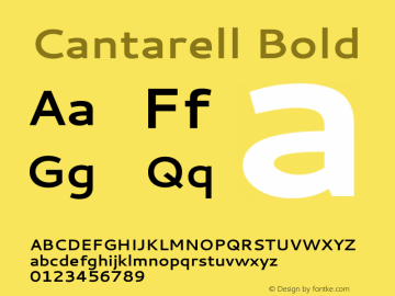 Cantarell Bold Version 001.001 Font Sample