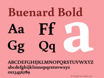 Buenard Bold Version 1.001 2011图片样张