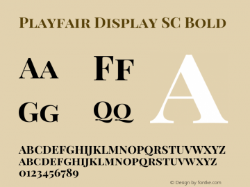 Playfair Display SC Bold Version 1.003;PS 001.003;hotconv 1.0.70;makeotf.lib2.5.58329; ttfautohint (v0.95) -l 42 -r 42 -G 200 -x 14 -w 