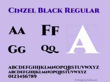 Cinzel Black Regular Version 1.001;PS 001.001;hotconv 1.0.56;makeotf.lib2.0.21325图片样张