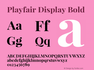 Playfair Display Bold Version 1.003;PS 001.003;hotconv 1.0.70;makeotf.lib2.5.58329; ttfautohint (v0.95) -l 42 -r 42 -G 200 -x 14 -w 
