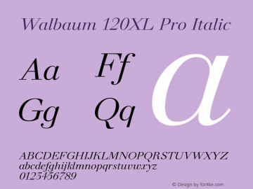 Walbaum 120XL Pro Italic Version 1.000 2010 initial release图片样张