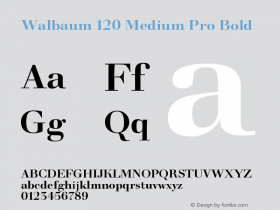 Walbaum 120 Medium Pro Bold Version 001.001 Font Sample