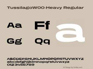 TussilagoW00-Heavy Regular Version 1.20 Font Sample