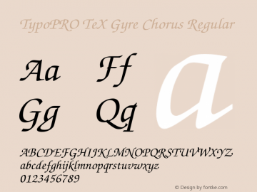 TypoPRO TeX Gyre Chorus Regular Version 2.003;PS 2.003;hotconv 1.0.49;makeotf.lib2.0.14853 Font Sample
