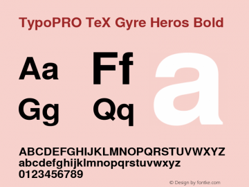 TypoPRO TeX Gyre Heros Bold Version 2.004;PS 2.004;hotconv 1.0.49;makeotf.lib2.0.14853图片样张