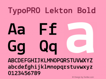 TypoPRO Lekton Bold Version 34.000图片样张