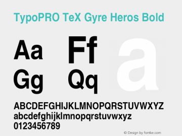 TypoPRO TeX Gyre Heros Bold Version 2.004;PS 2.004;hotconv 1.0.49;makeotf.lib2.0.14853图片样张