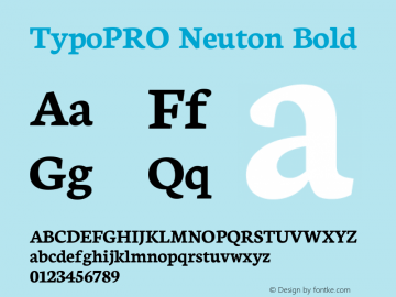 TypoPRO Neuton Bold Version 1.42图片样张