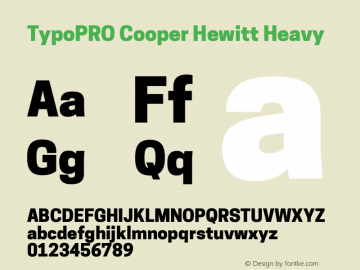 TypoPRO Cooper Hewitt Heavy 1.000图片样张